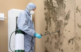 Best Commercial Mold Inspection  in Deenwood, GA